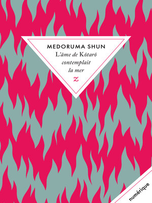 cover image of L'âme de Kôtarô contemplait la mer